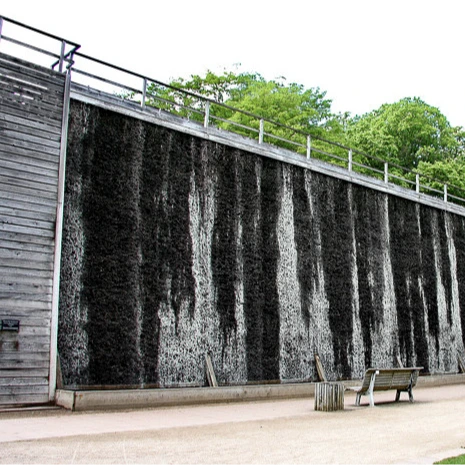 Bild von Lüneburg